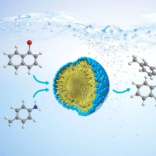AOD 9604 Powder use | Shaanxi BLOOM Tech Co., Ltd AOD 9604 Powder use | Shaanxi BLOOM Tech Co., Ltd