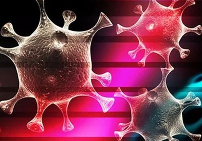 Epinephrine Hydrochloride Powder use | Shaanxi BLOOM Tech Co., Ltd Epinephrine Hydrochloride Powder use | Shaanxi BLOOM Tech Co., Ltd