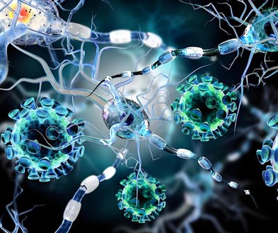 Ivermectin Stromectol Tablet use | Shaanxi BLOOM Tech Co., Ltd Ivermectin Stromectol Tablet use | Shaanxi BLOOM Tech Co., Ltd