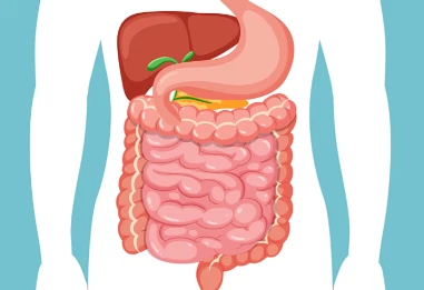 SLU-PP-332 Supply | Shaanxi BLOOM Tech Co., Ltd SLU-PP-332 Supply | Shaanxi BLOOM Tech Co., Ltd