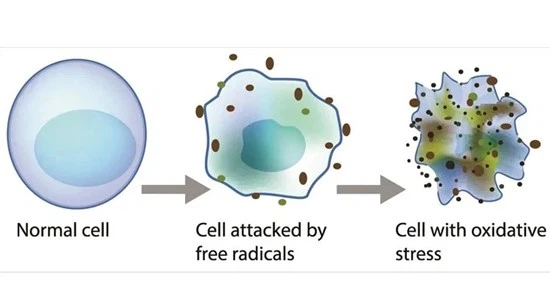 MT1 Tablet | Shaanxi BLOOM Tech Co., Ltd MT1 Tablet | Shaanxi BLOOM Tech Co., Ltd