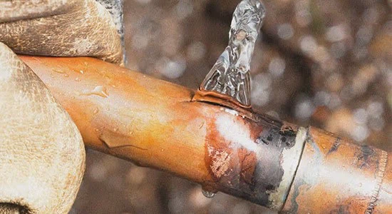 MT1 Tablet | Shaanxi BLOOM Tech Co., Ltd MT1 Tablet | Shaanxi BLOOM Tech Co., Ltd